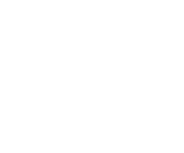 Expertise transversale