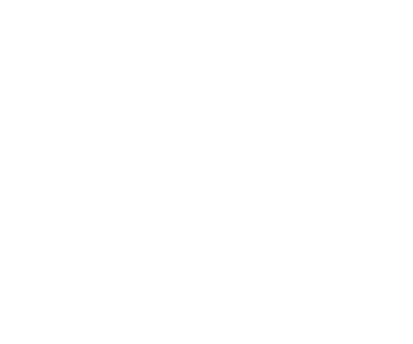 Expérience internationale